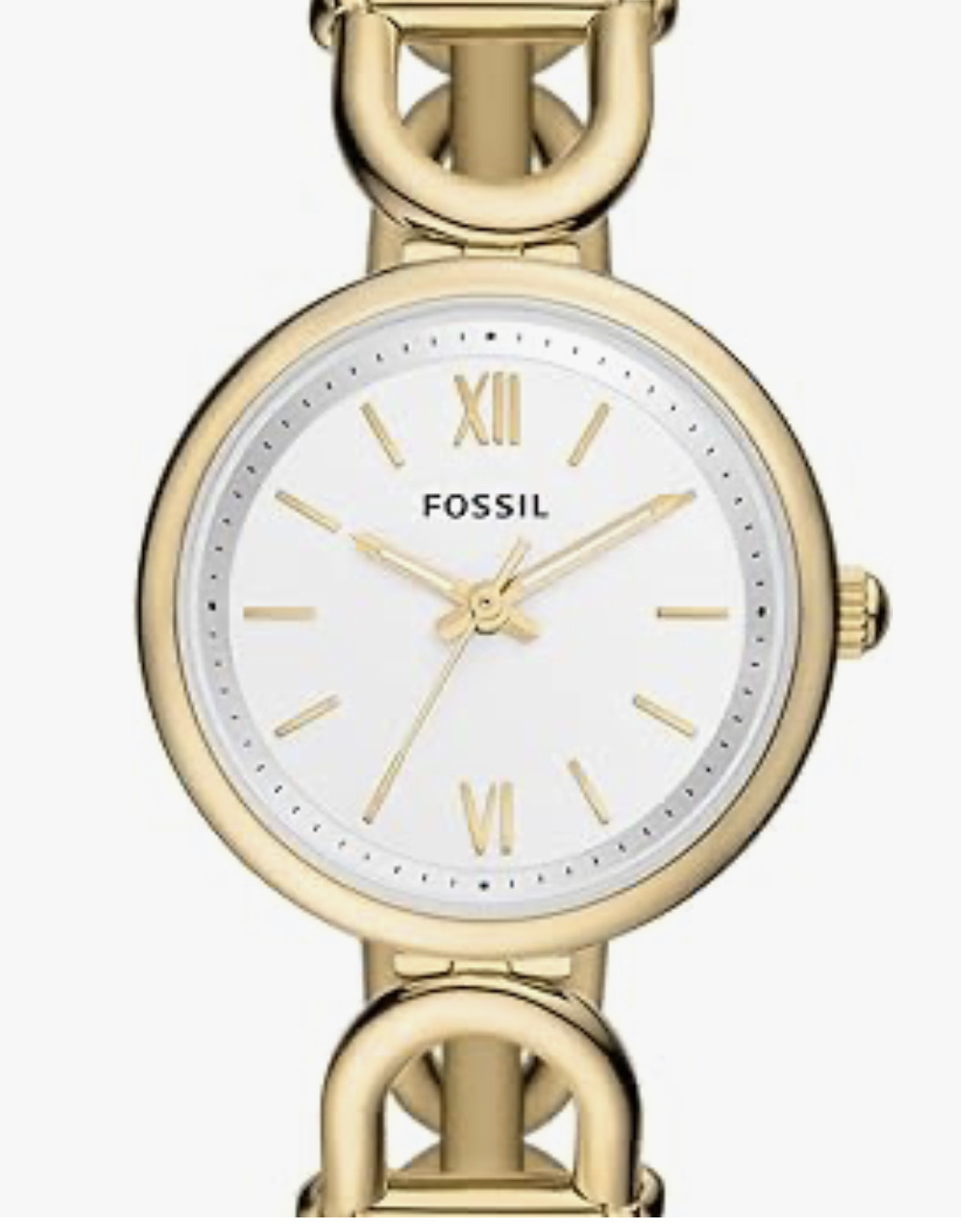 Fossil